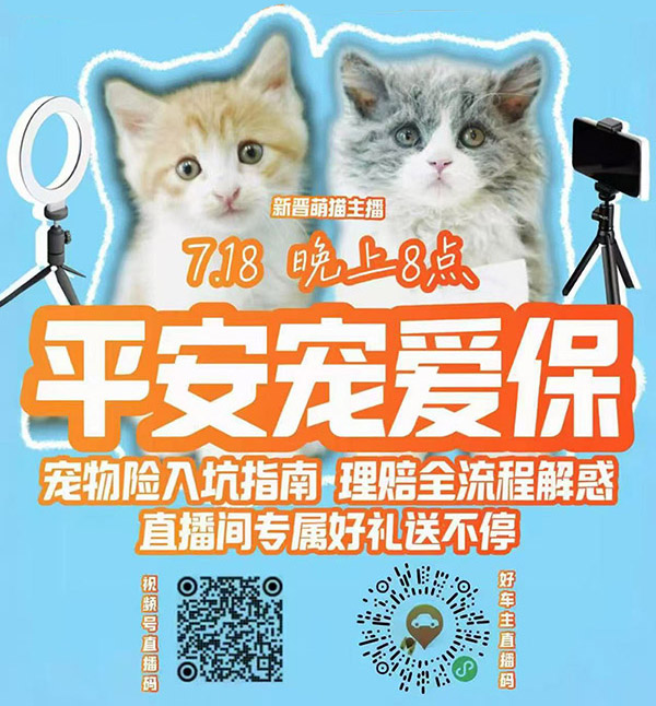 平安宠爱保